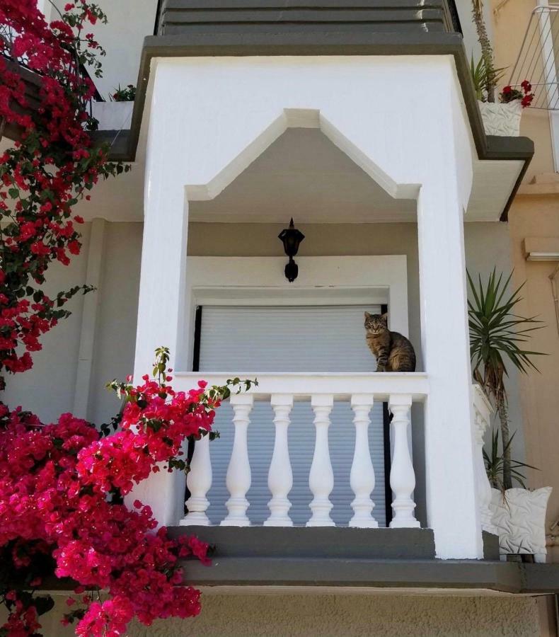 Villa Virozi Sarti Exterior photo
